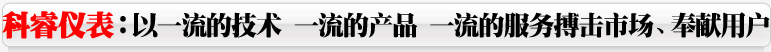 電磁流量計，渦街流量計，旋進旋渦流量計，平衡流量計，孔板流量計，超聲波流量計，V錐流量計，壓力變送器、差壓變送器